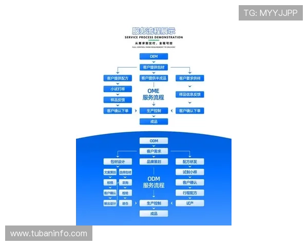 尊龙网址集团客户服务体系优化与用户体验提升方案