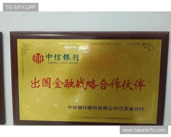 锶六尊龙凯时集团与行业合作伙伴的协同发展战略